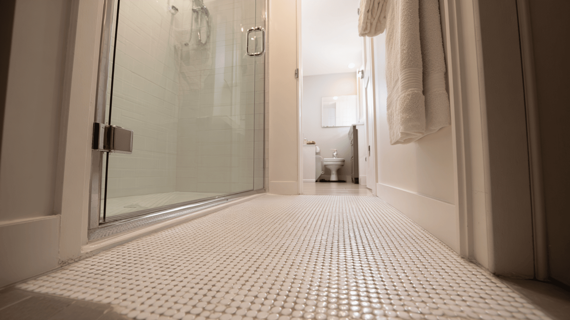 Walk In Shower Design With Penny Tile