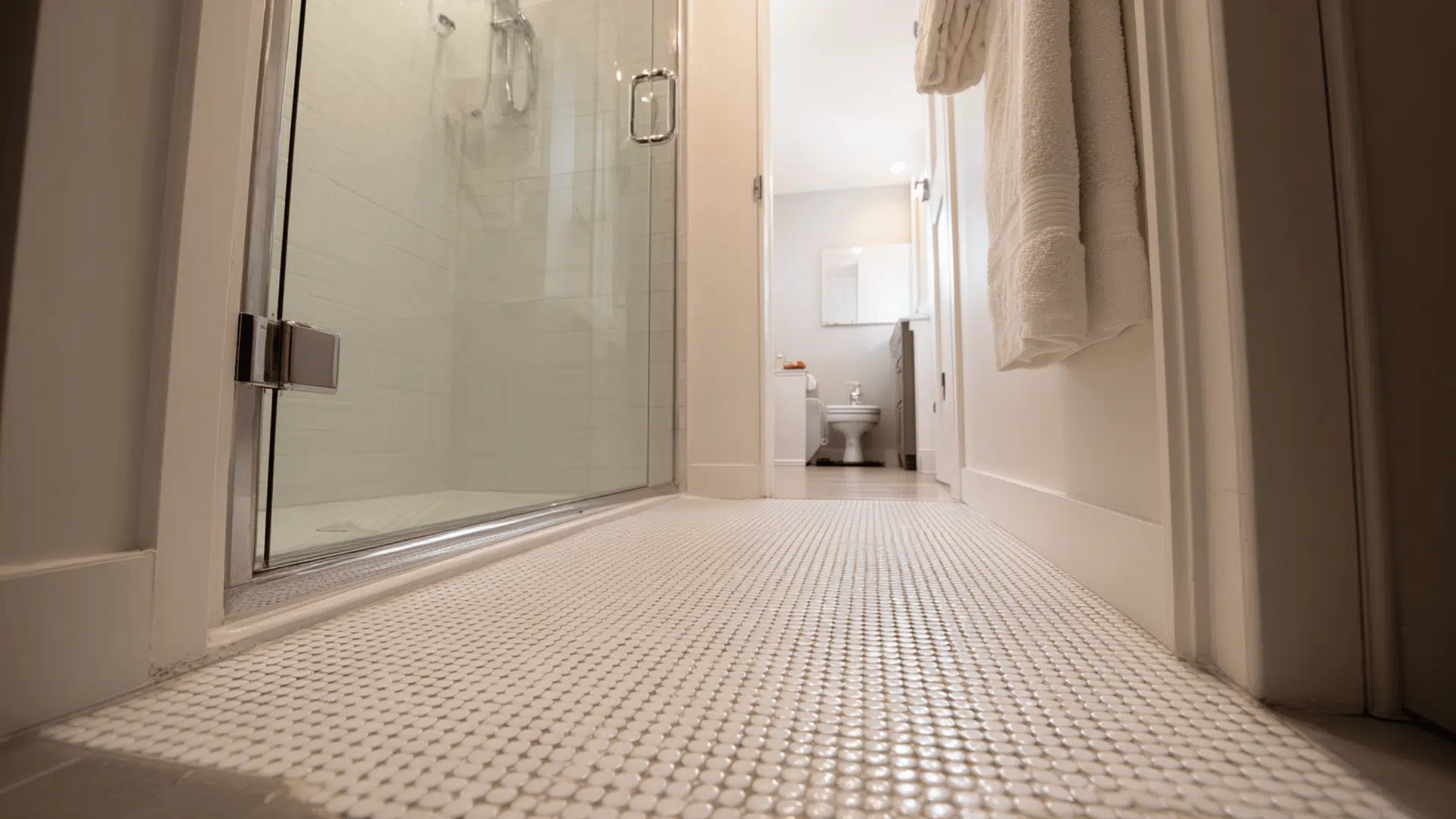 Walk In Shower Design With Penny Tile