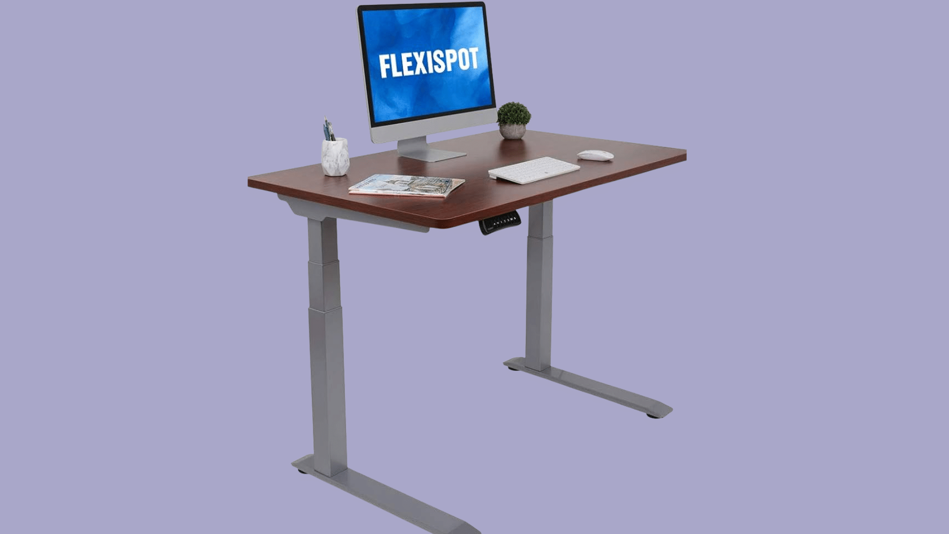flexispot