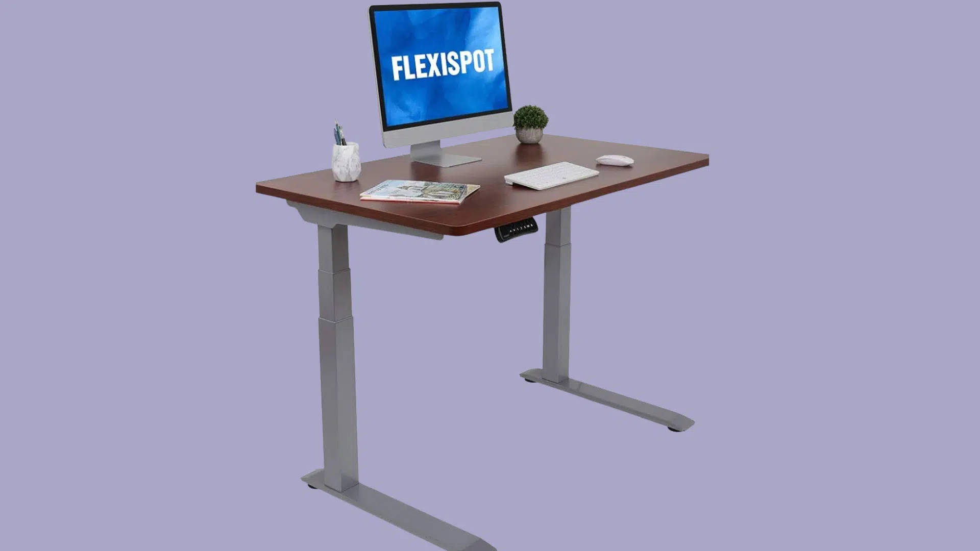 flexispot