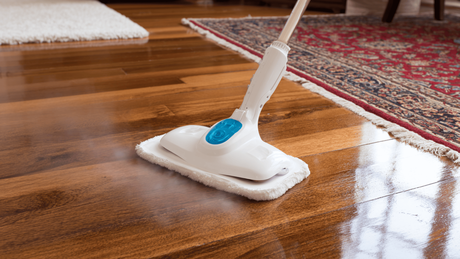 steam mop on hardwood floor