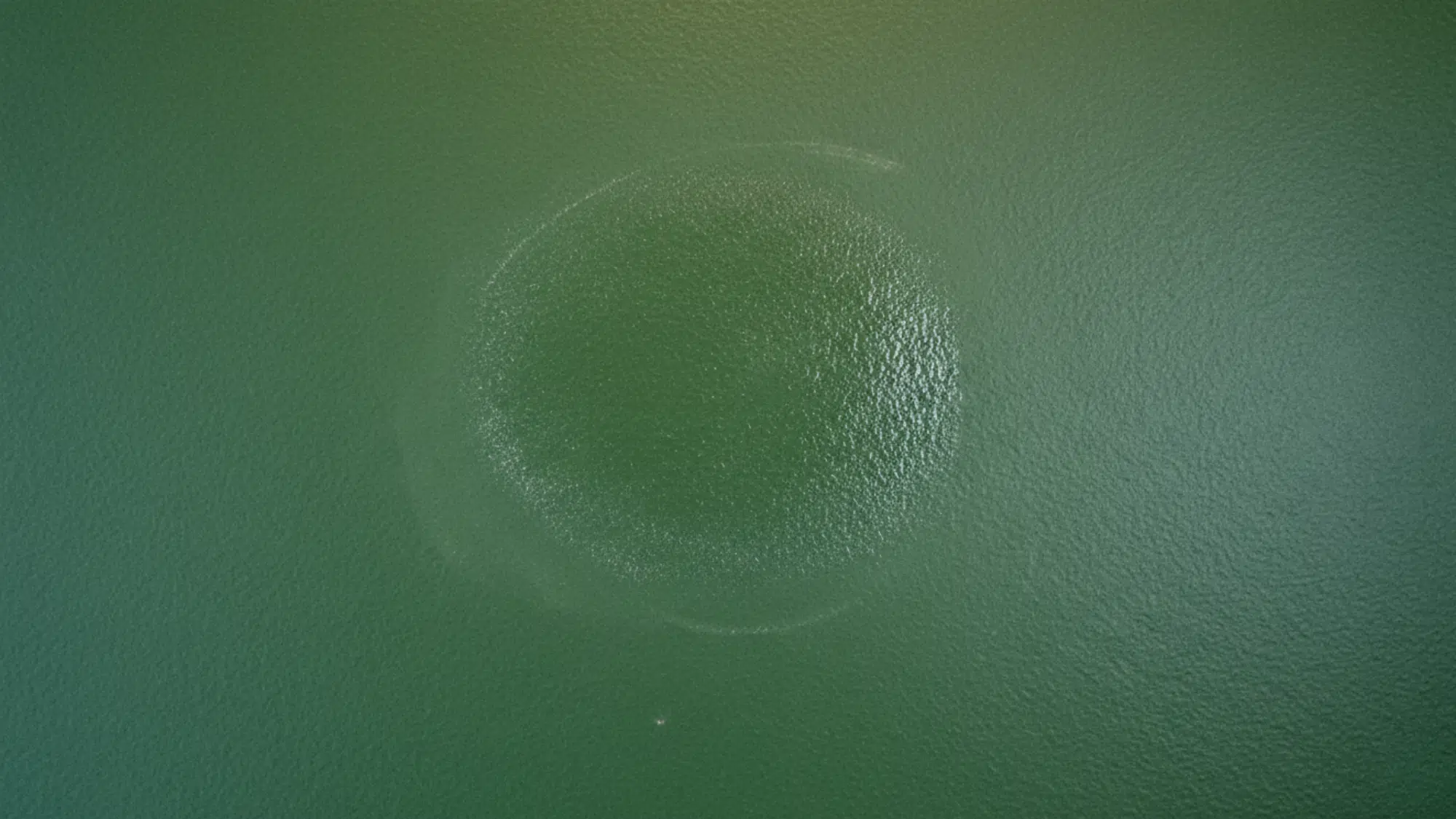 wall burnishing