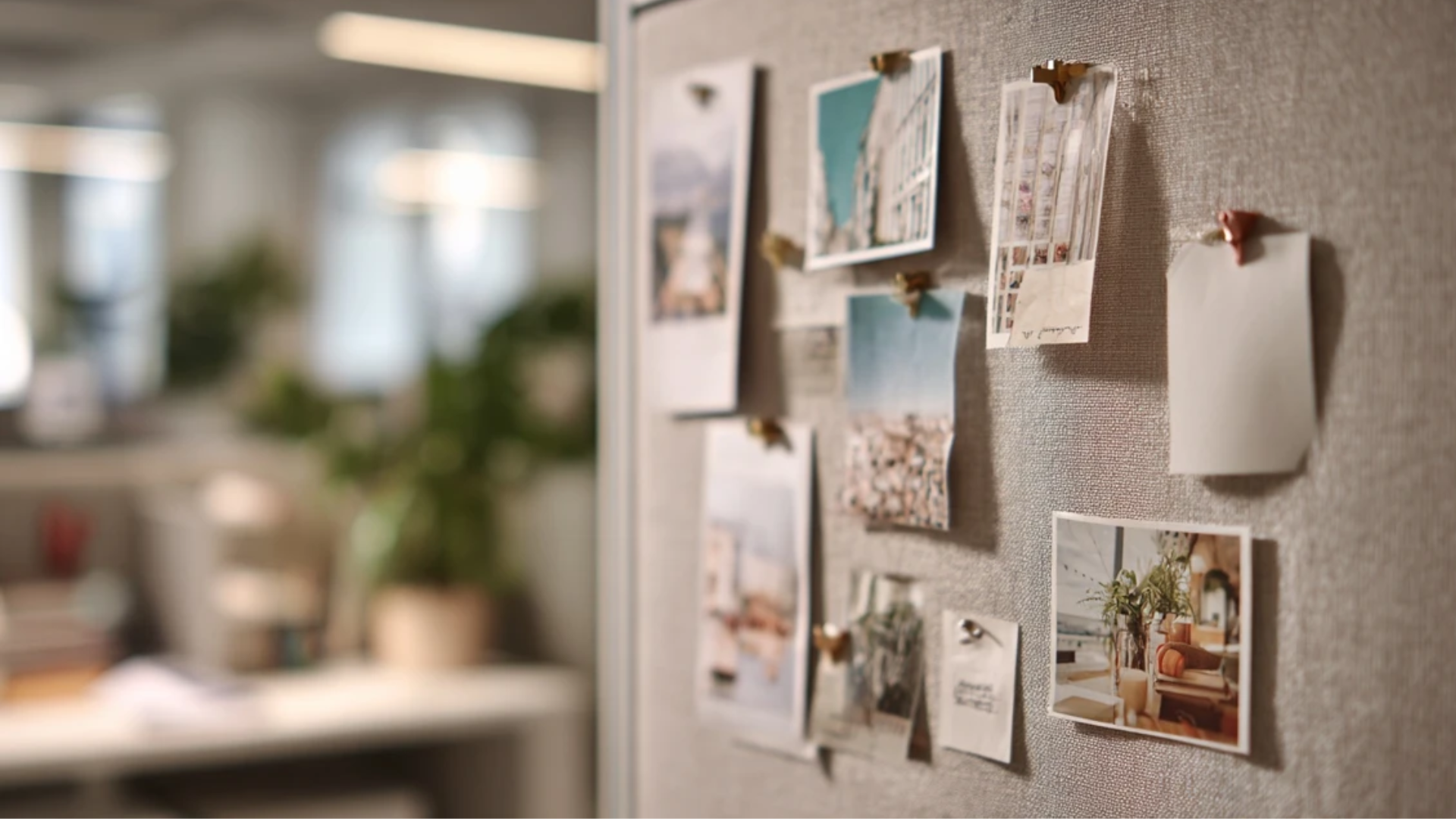 cubicledecor4