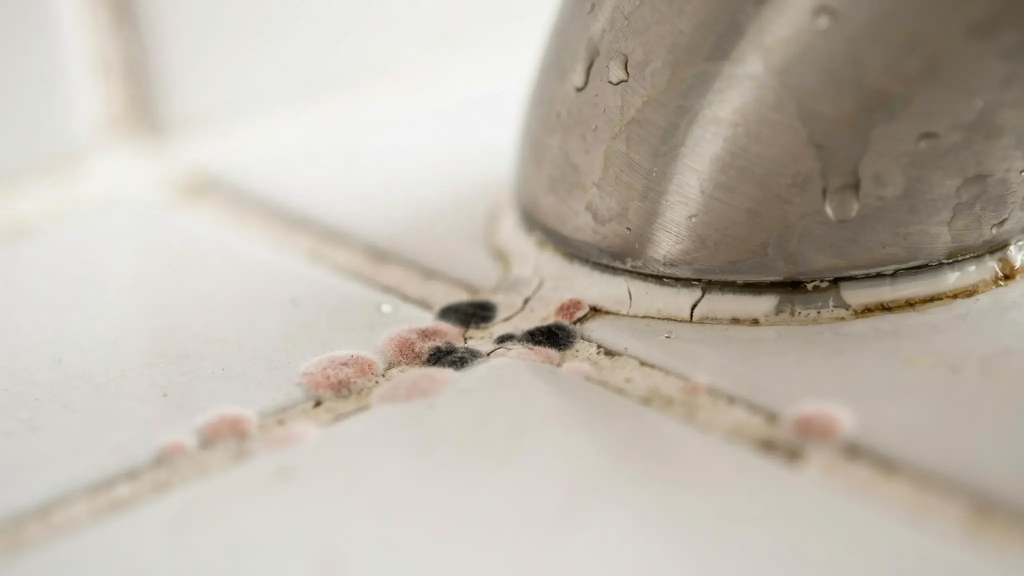 Pink to light brown mold darkening to black, growing along caulk seams and grout near faucets.