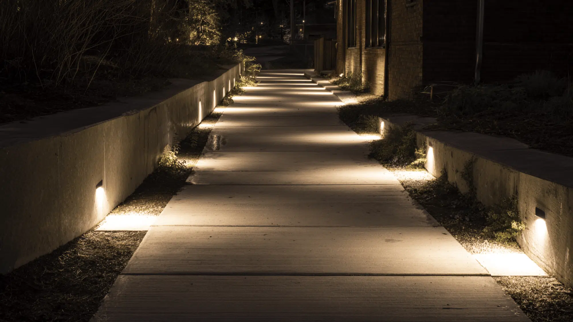 Flush-mounted LED path lights casting warm white glow along a modern front yard walkway at night